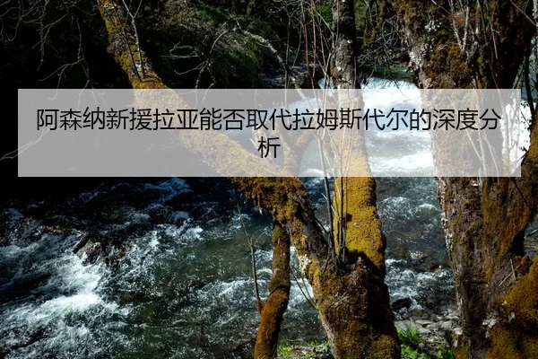 阿森纳新援拉亚能否取代拉姆斯代尔的深度分析
